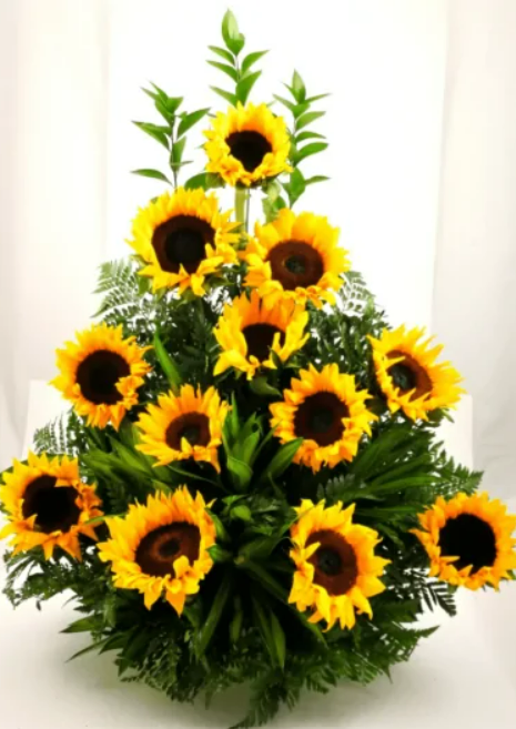 composizione girasoli piante da interno
