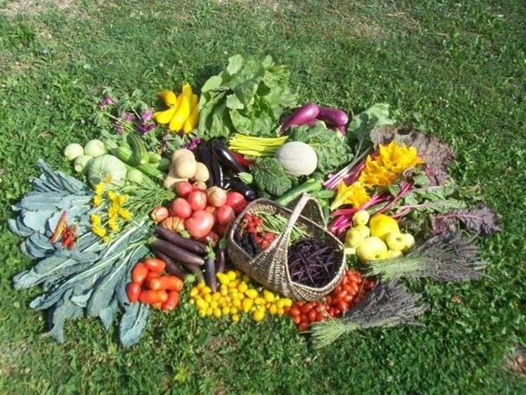orto composizioni floreali bouquette